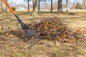 Wake up your Lawn in the Spring & Seasonal Lawn Care Tips