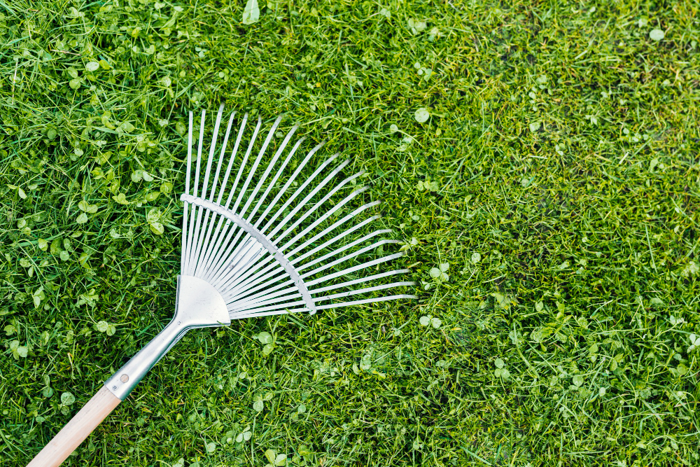 Wake up your Lawn in the Spring & Seasonal Lawn Care Tips
